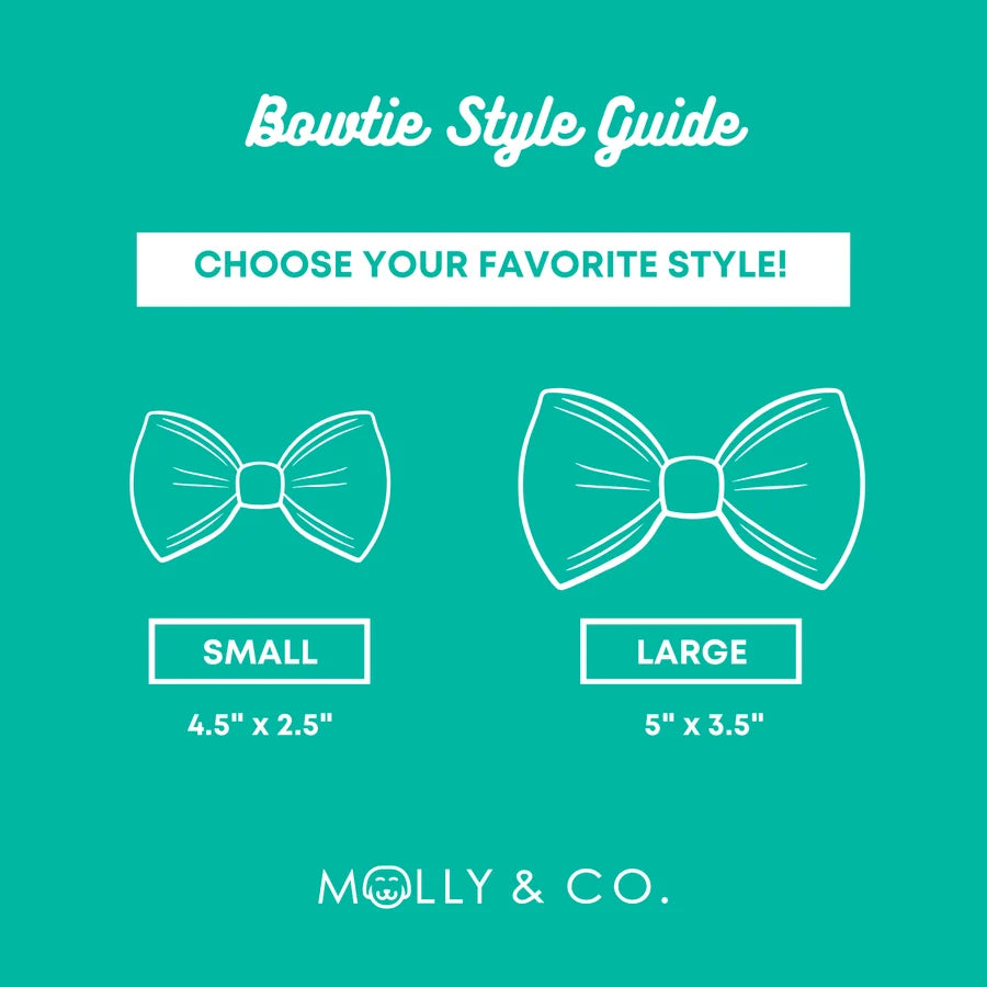 Molly and Co. Sunrise - Dog Bowtie