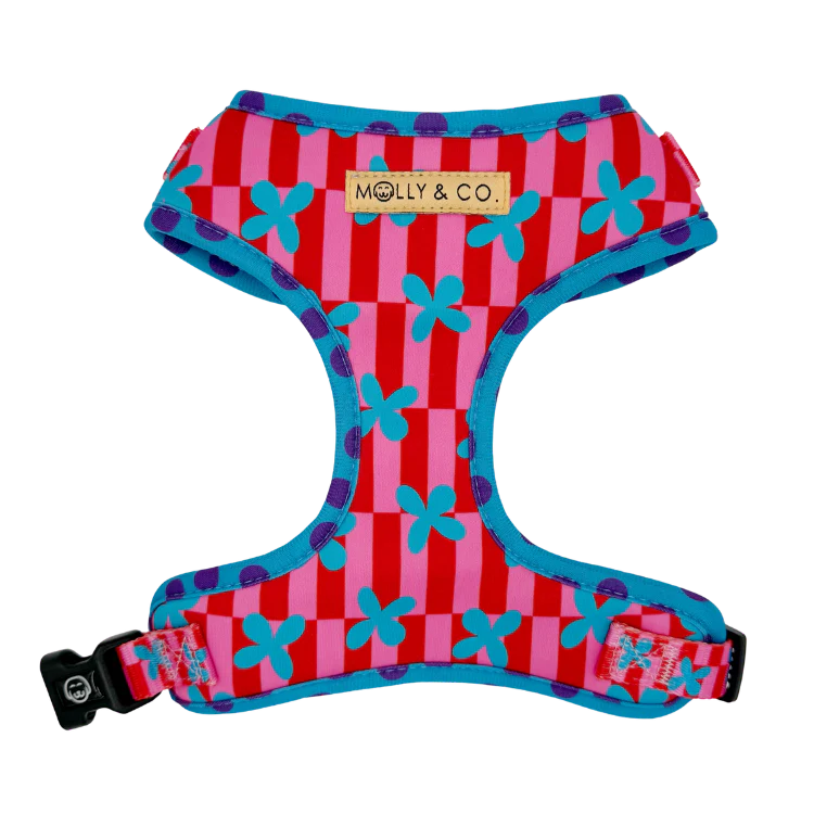 Molly & Co. Supernova - Adjustable Dog Harness