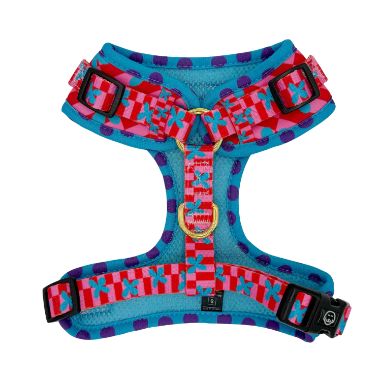 Molly & Co. Supernova - Adjustable Dog Harness