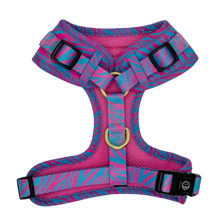 Molly & Co. Malibu Doll - Adjustable Dog Harness