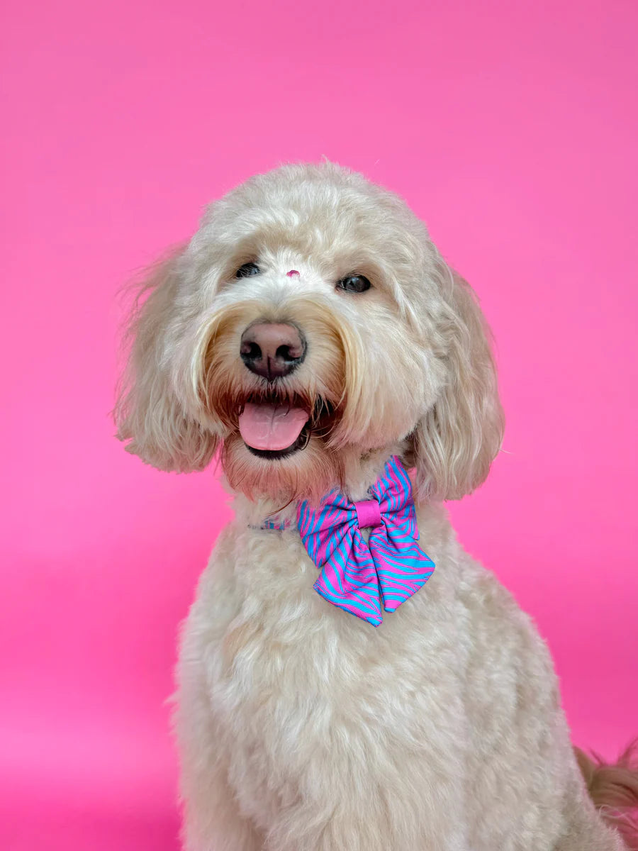 Molly & Co. Malibu Doll - Dog Sailor Bowtie