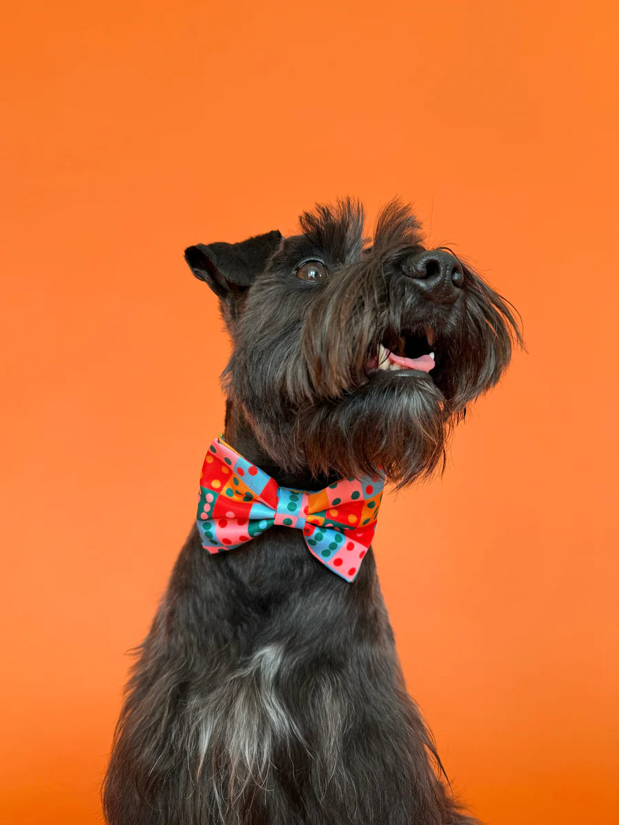 Molly & Co. Doble Seis - Dog Bowtie