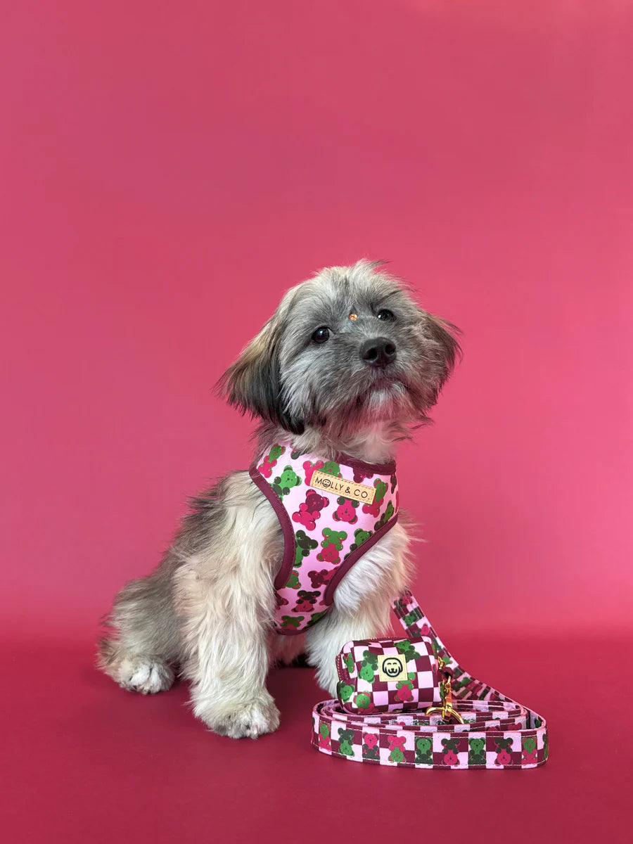 Gummy Bears - Dog Poop Bag Holder