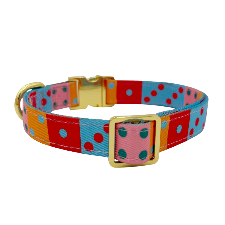 Molly & Co. Doble Seis - Dog Collar