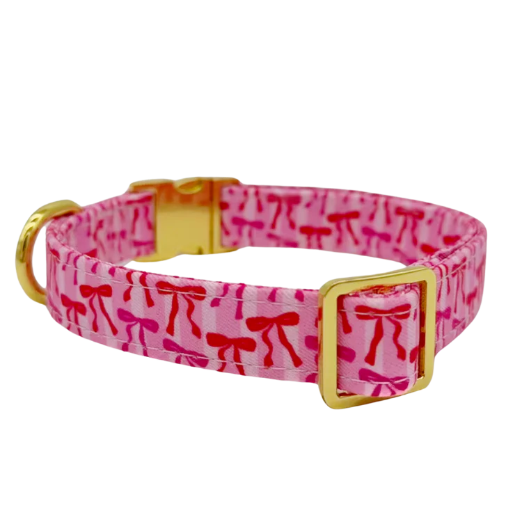 Molly & Co. Coquette - Dog Collar