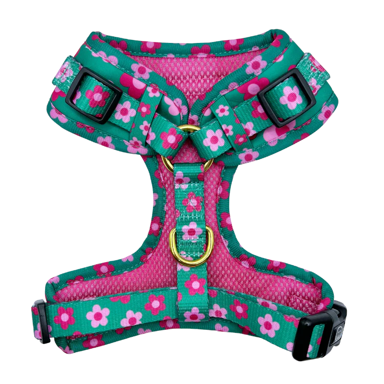 Molly & Co. Petunia - Adjustable Dog Harness