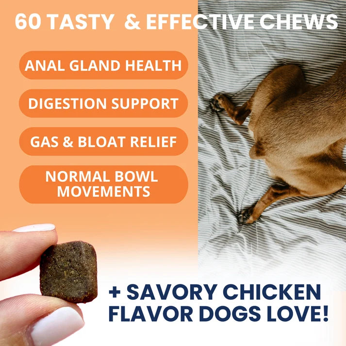 Under The Weather Scoot Stop Anal Glad Support Soft Chews for Dogs