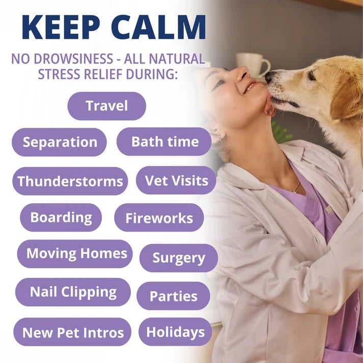 Calming Chews for Dogs Under the Weather