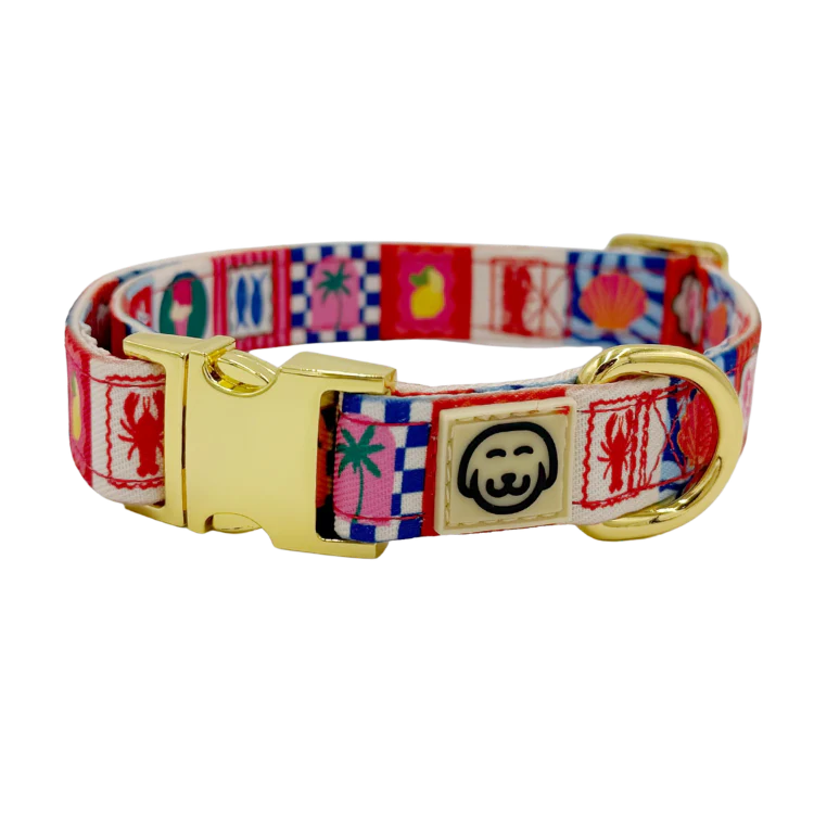 Molly & Co. Amalfi - Adjustable Dog Collar