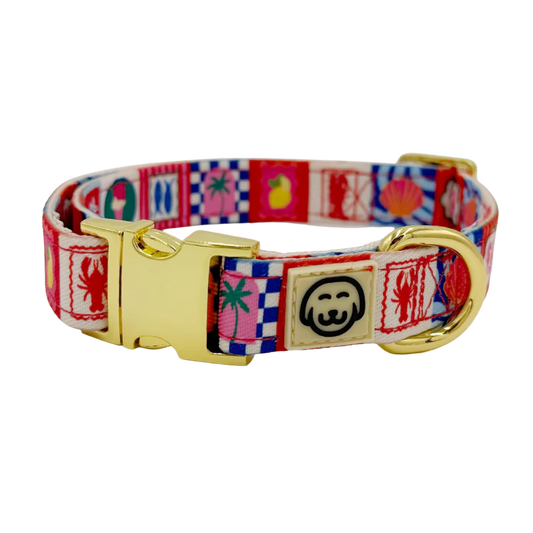 Molly & Co. Amalfi - Adjustable Dog Collar