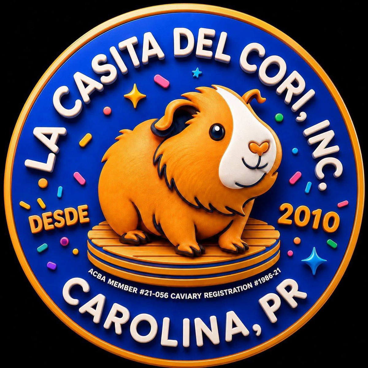 Coris (Guinea Pig) Adpt