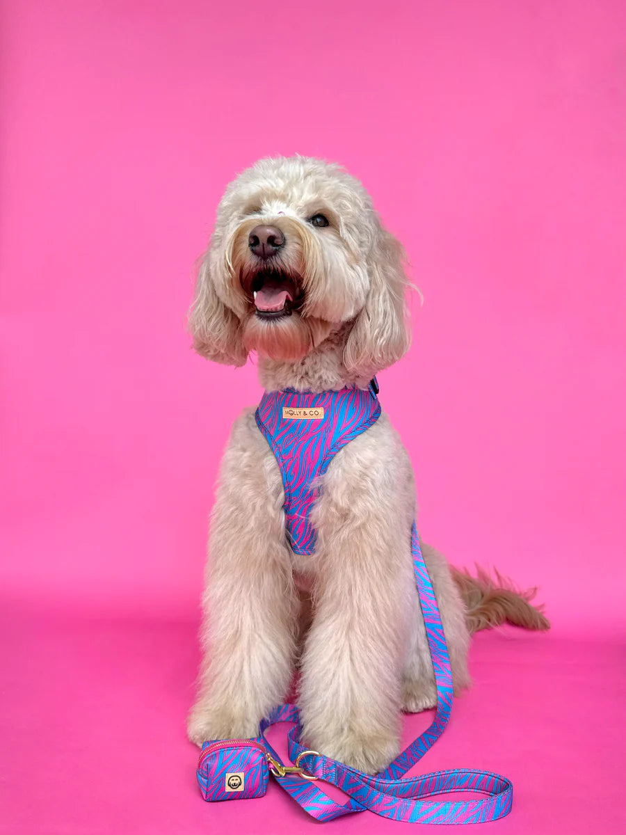 Molly & Co. Malibu Doll - Adjustable Dog Harness