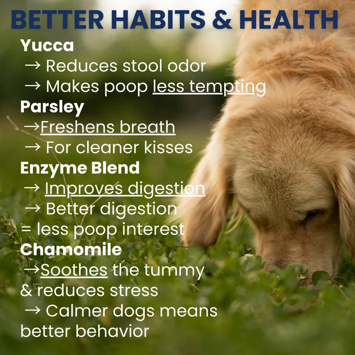 Poop Eating Deterrent - Coprophagia Chew For Dogs