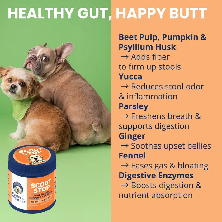 Under The Weather Scoot Stop Anal Glad Support Soft Chews for Dogs