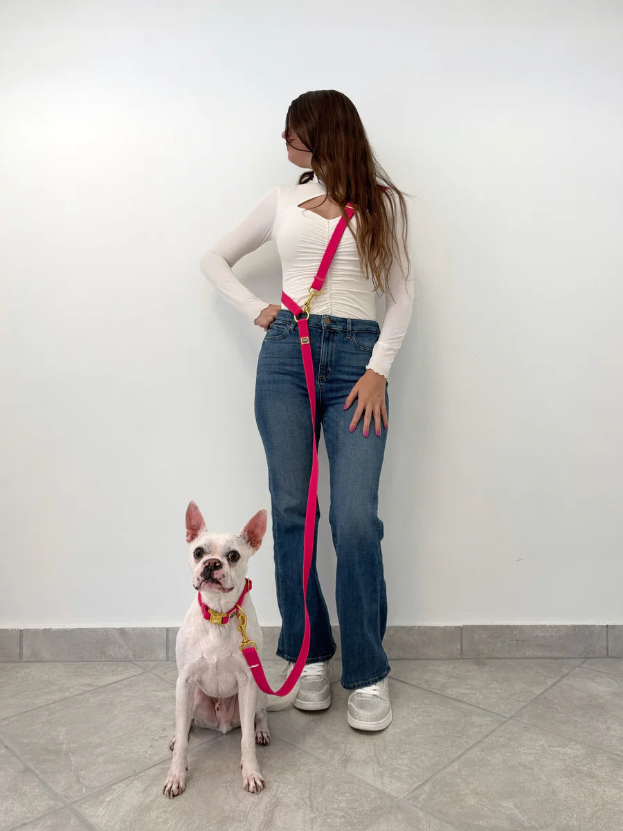 Molly & Co. Fuchsia - Splashproof Handsfree Dog Leash