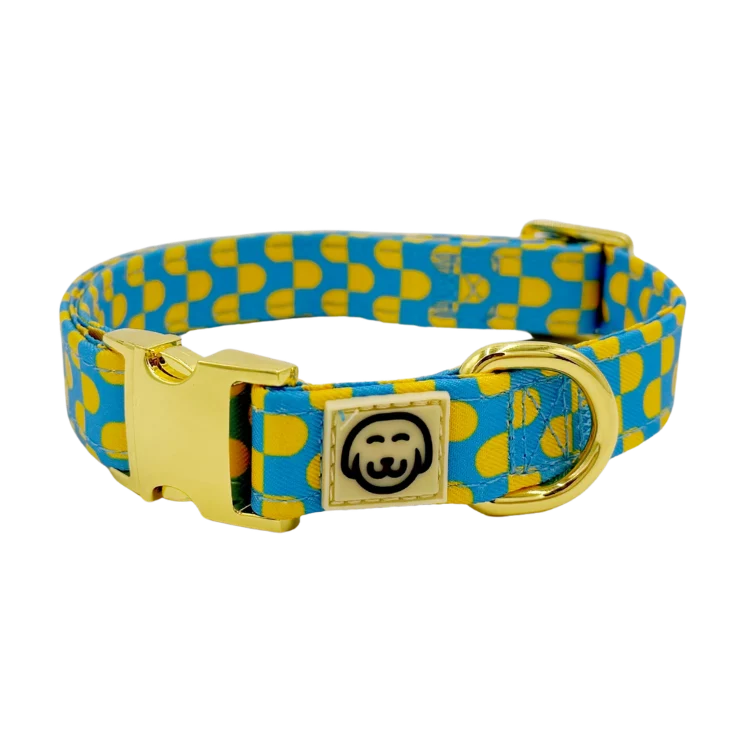 Molly and Co. Sunrise - Adjustable Dog Collar