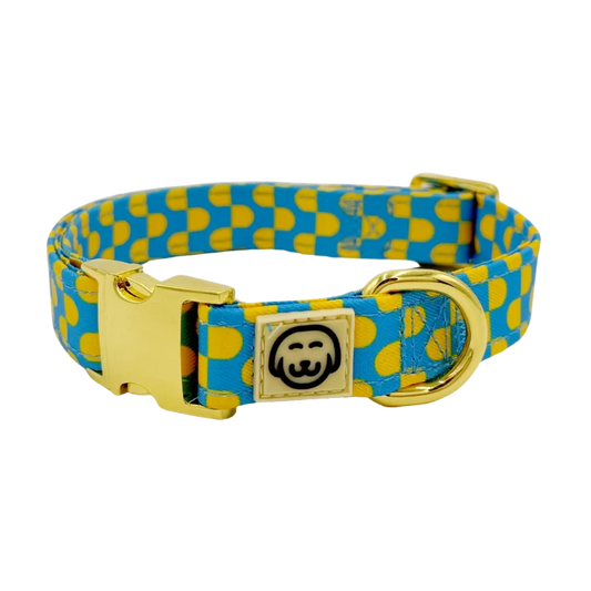 Molly and Co. Sunrise - Adjustable Dog Collar