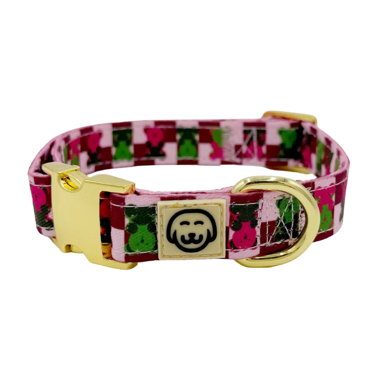Gummy Bears - Adjustable Dog Collar