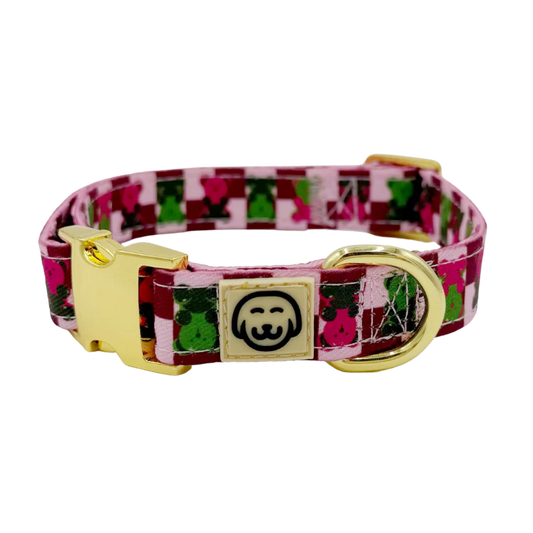 Molly & Co. Gummy Bears - Adjustable Dog Collar