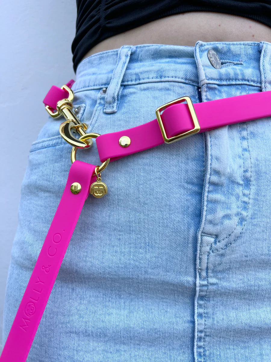 Molly & Co. Bubblegum - Splashproof Handsfree Dog Leash