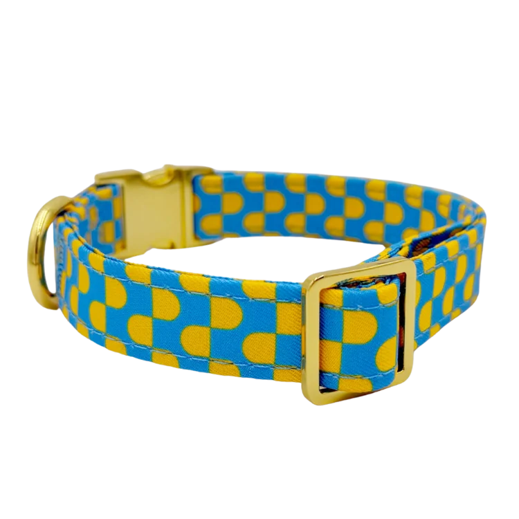 Molly and Co. Sunrise - Adjustable Dog Collar