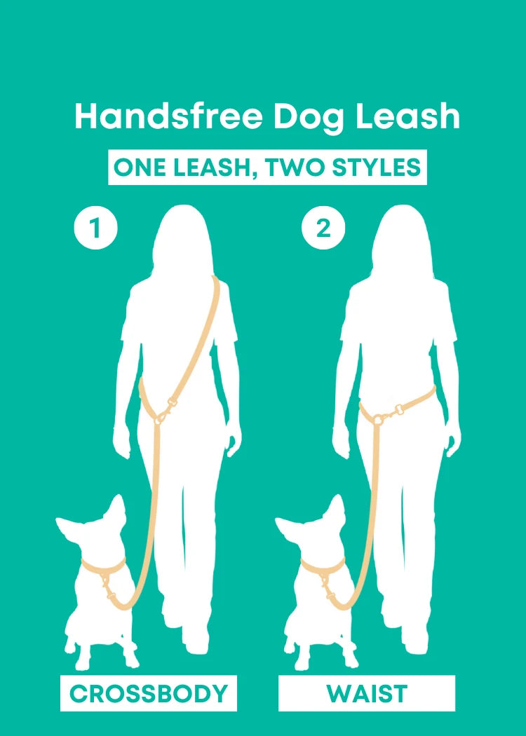 Molly and Co. Seaside - Splashproof Handsfree Dog Leash