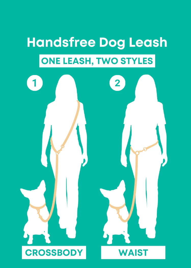 Molly & Co. Fuchsia - Splashproof Handsfree Dog Leash