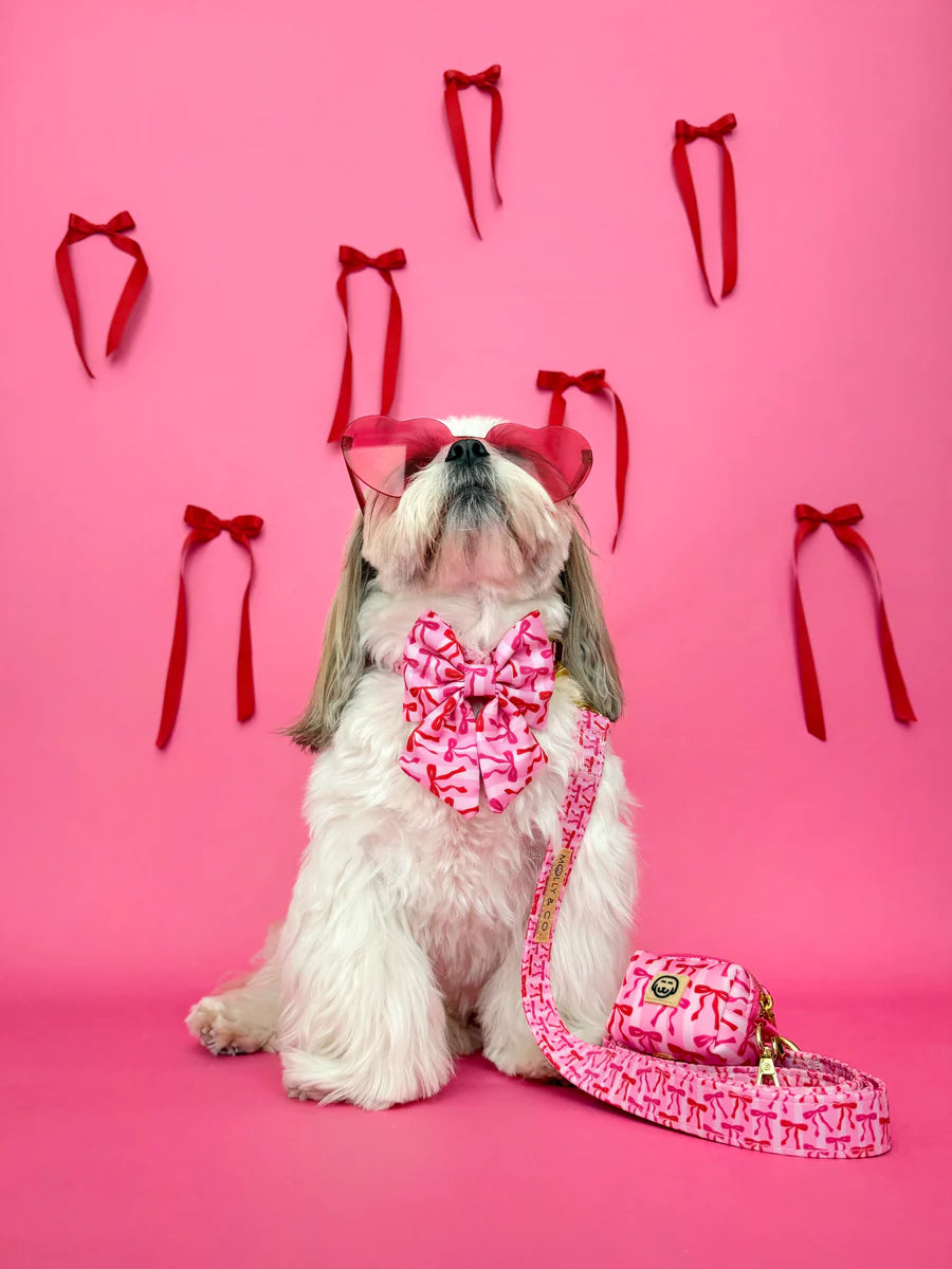 Molly & Co. Coquette-Dog Poop Bag Holder
