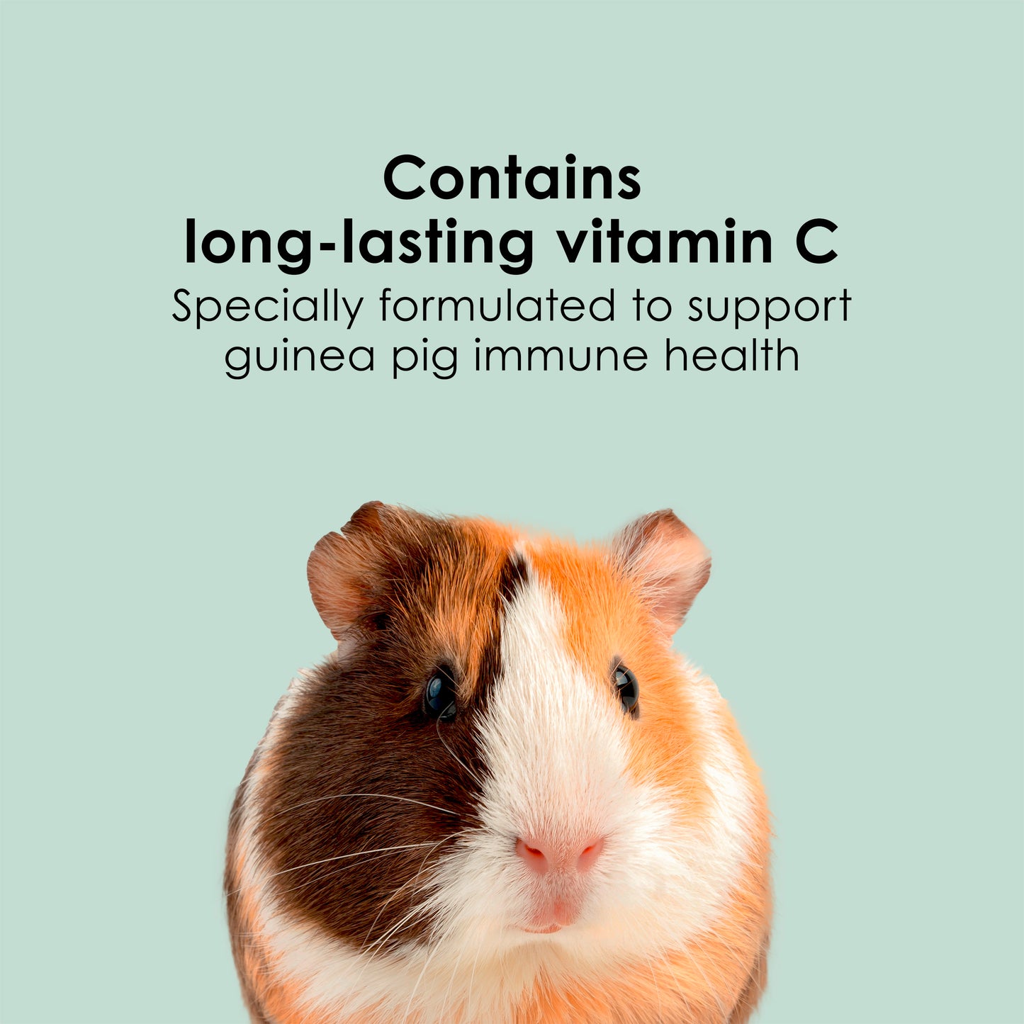 Kaytee Timothy Complete Guinea Pig Food