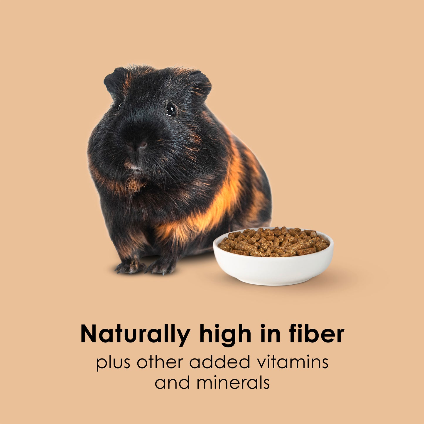 Kaytee Timothy Complete Guinea Pig Food