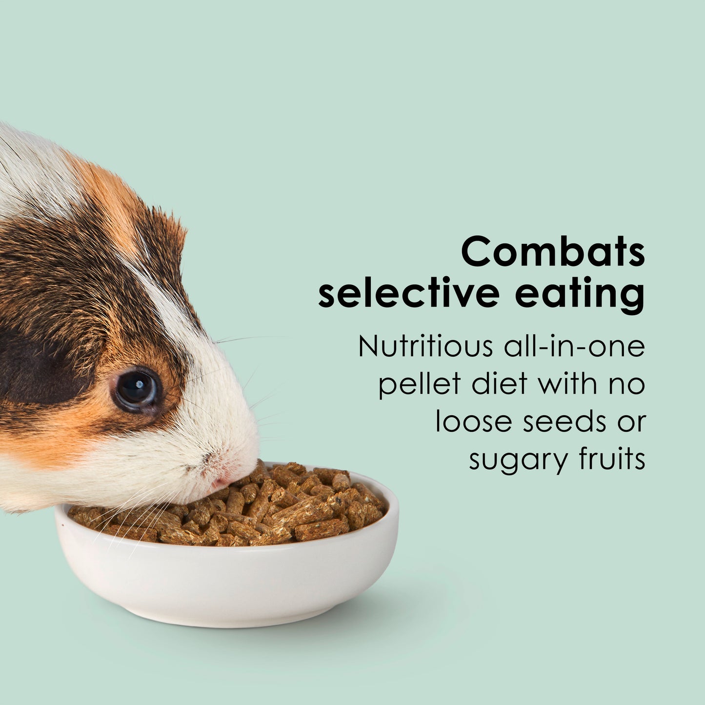 Kaytee Timothy Complete Guinea Pig Food