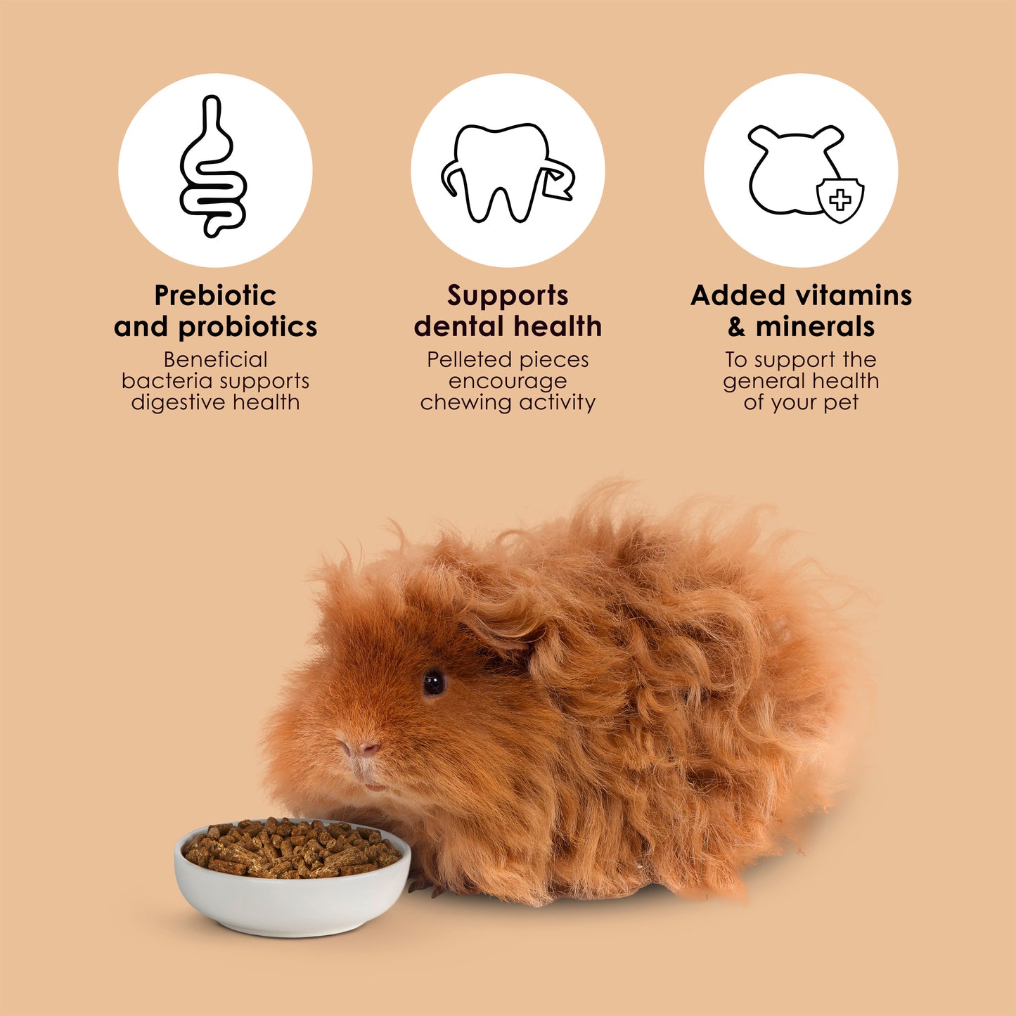 Kaytee Timothy Complete Guinea Pig Food