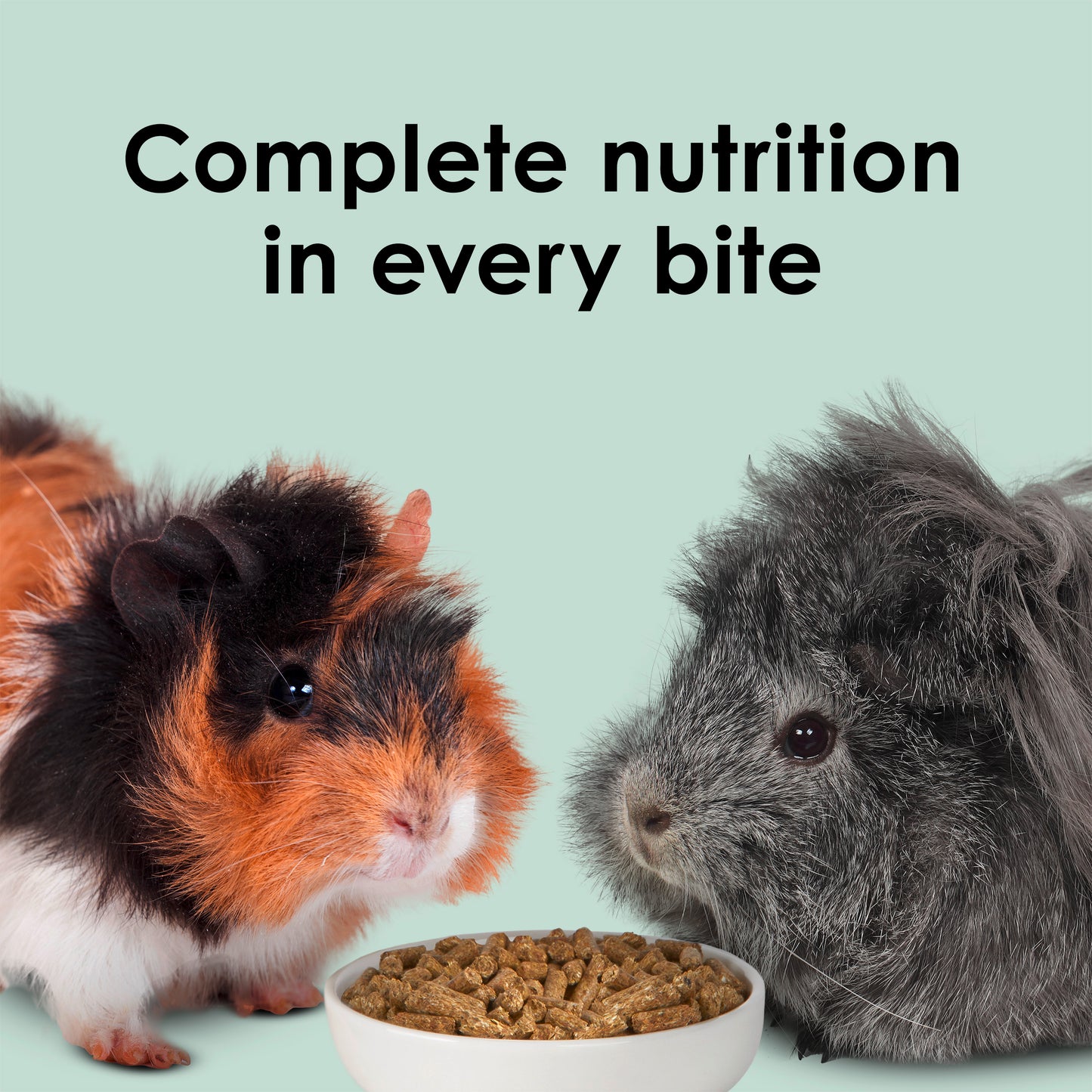 Kaytee Timothy Complete Guinea Pig Food