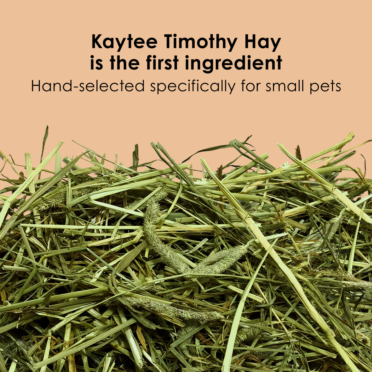 Kaytee Timothy Complete Rabbit Food