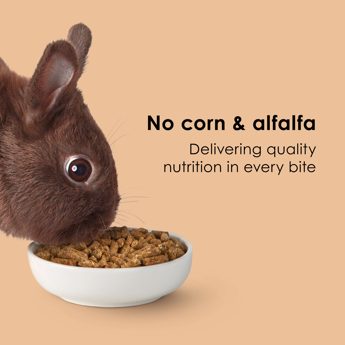 Kaytee Timothy Complete Rabbit Food