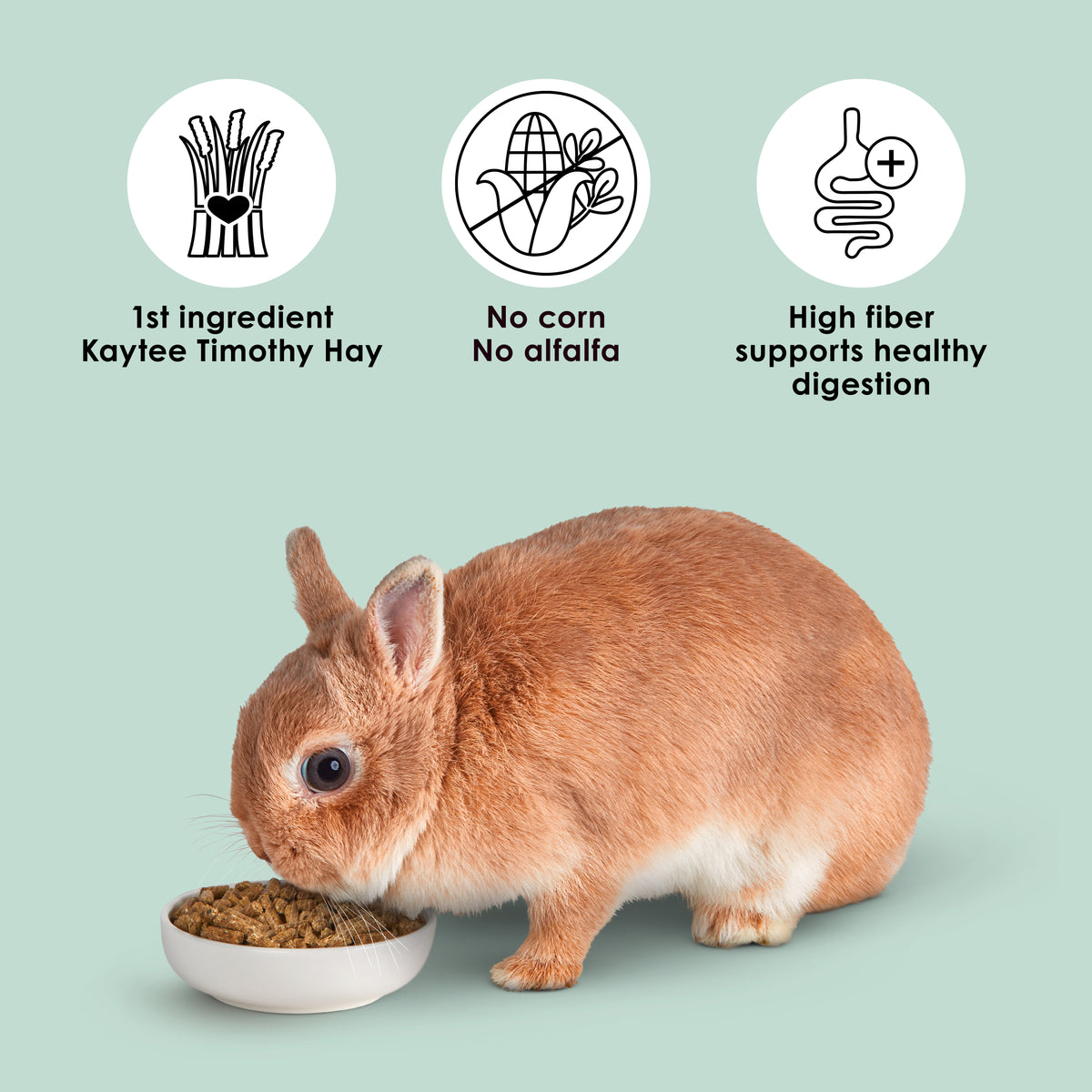 Kaytee Timothy Complete Rabbit Food
