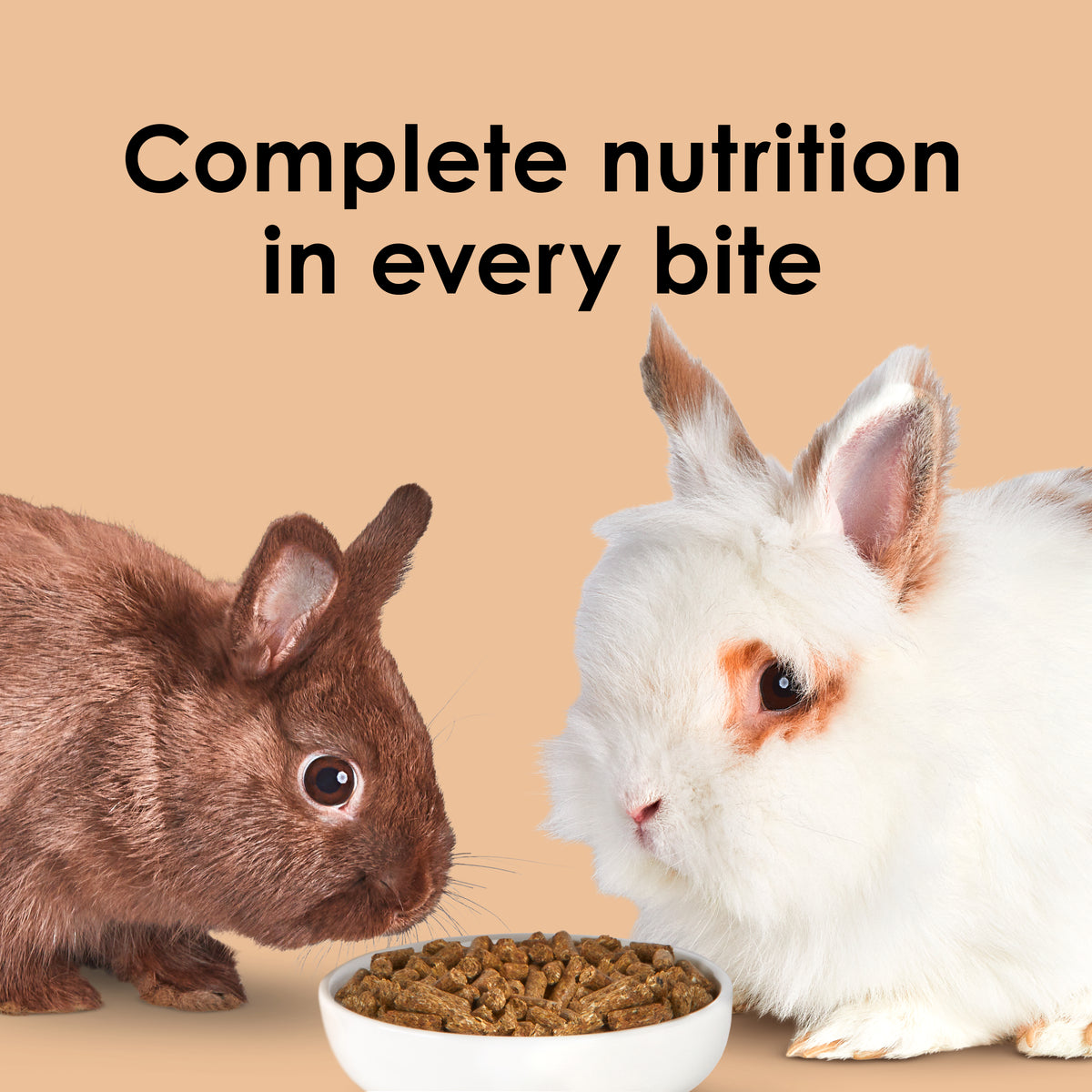 Kaytee Timothy Complete Rabbit Food