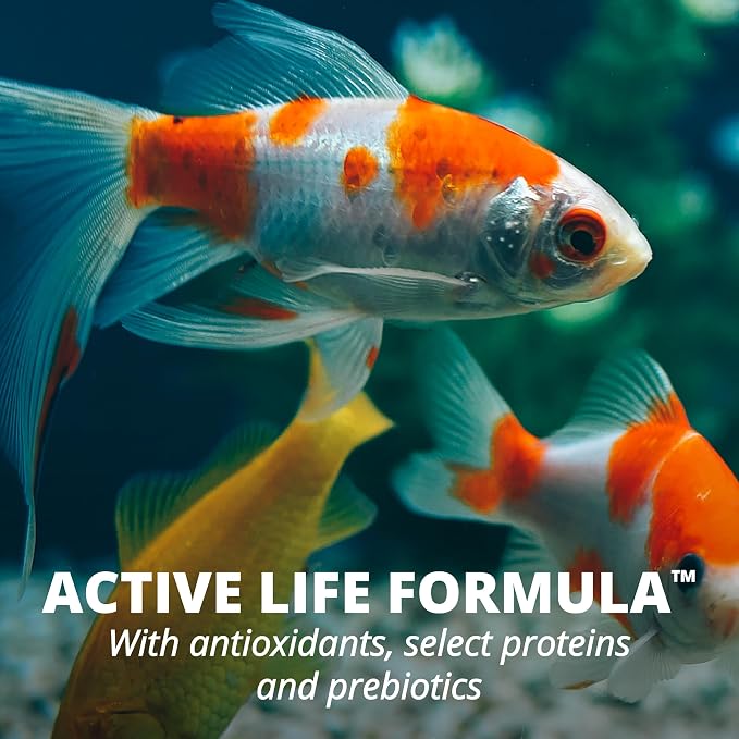 Tetra Goldfish Flakes Fish Food