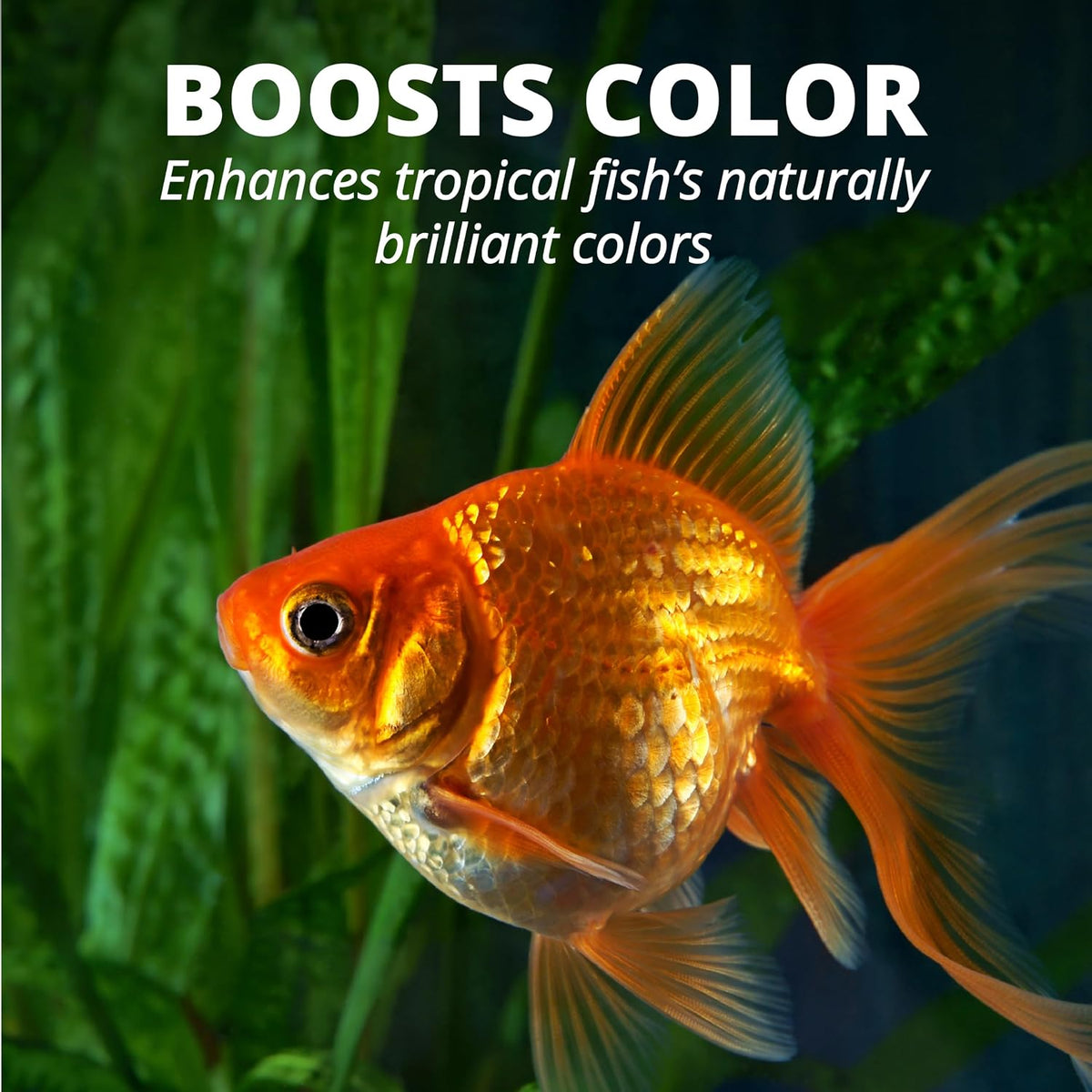 Tetra Goldfish Flakes Fish Food