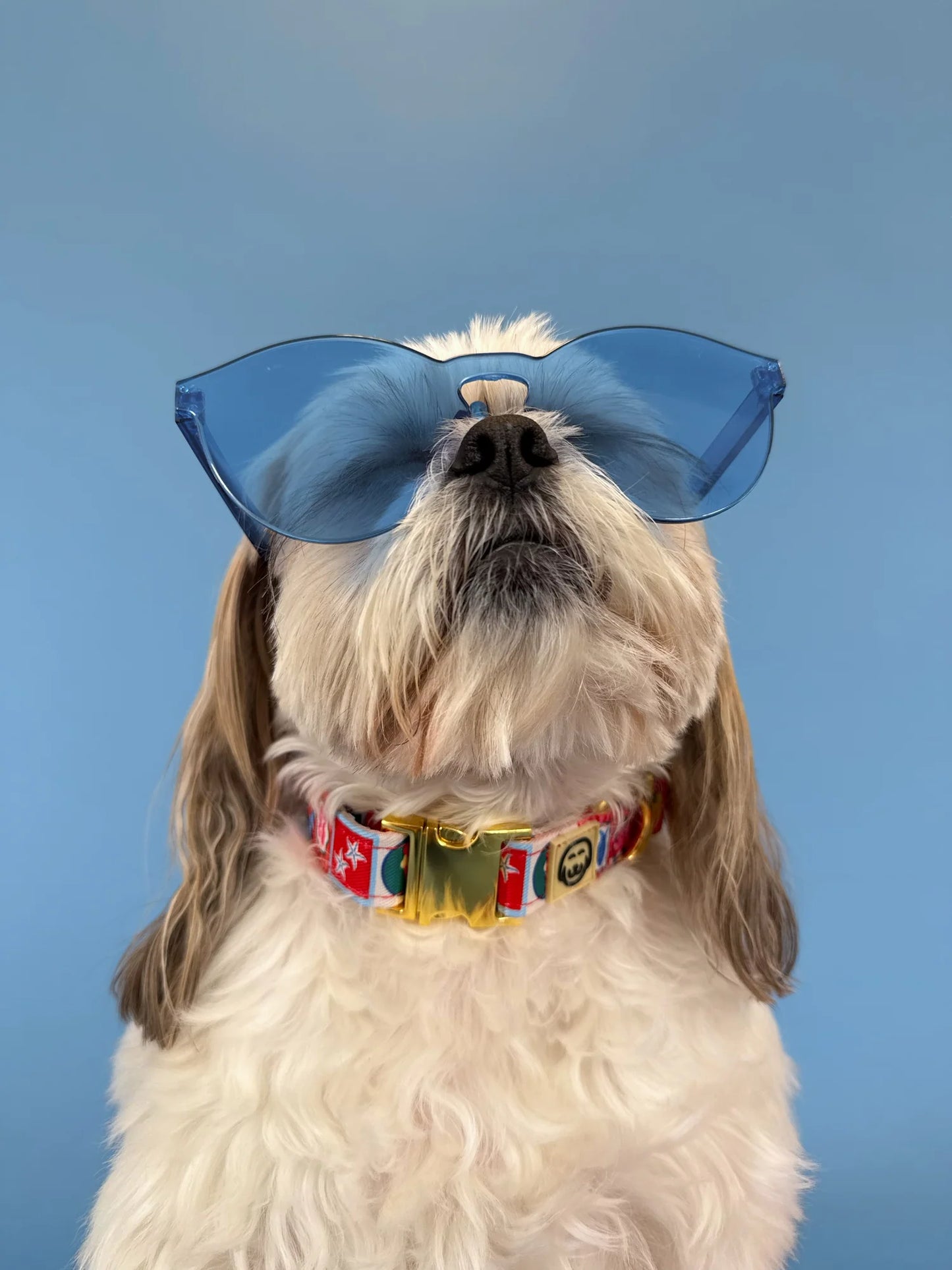 Molly & Co. Amalfi - Adjustable Dog Collar