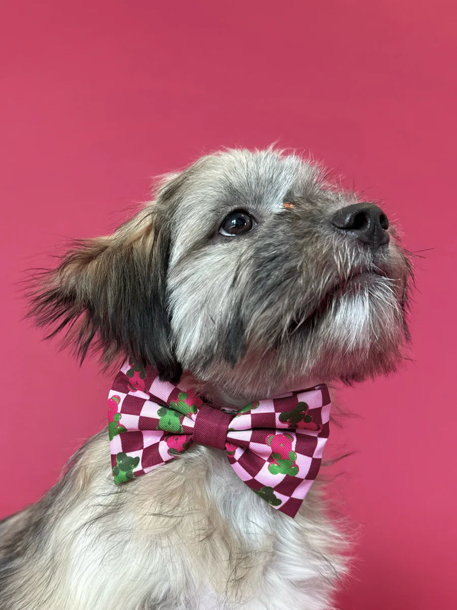 Gummy Bears - Dog Bowtie