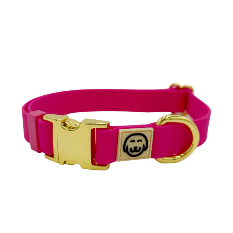 Fuchsia - Adjustable Splashproof Dog Collar