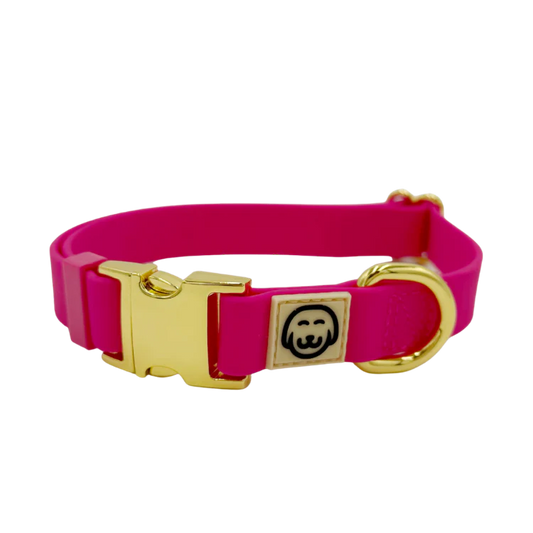 Molly & Co. Fuchsia - Adjustable Splashproof Dog Collar