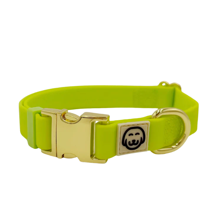 Glowstick - Adjustable Splashproof Dog Collar