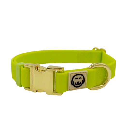 Molly & Co. Glowstick - Adjustable Splashproof Dog Collar