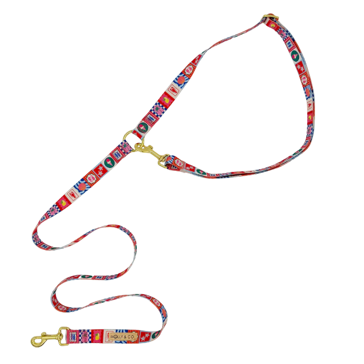 Molly & Co. Amalfi - Handsfree Dog Leash