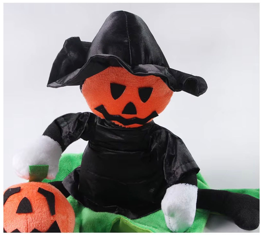 Pumpkin Rider Pet Costume