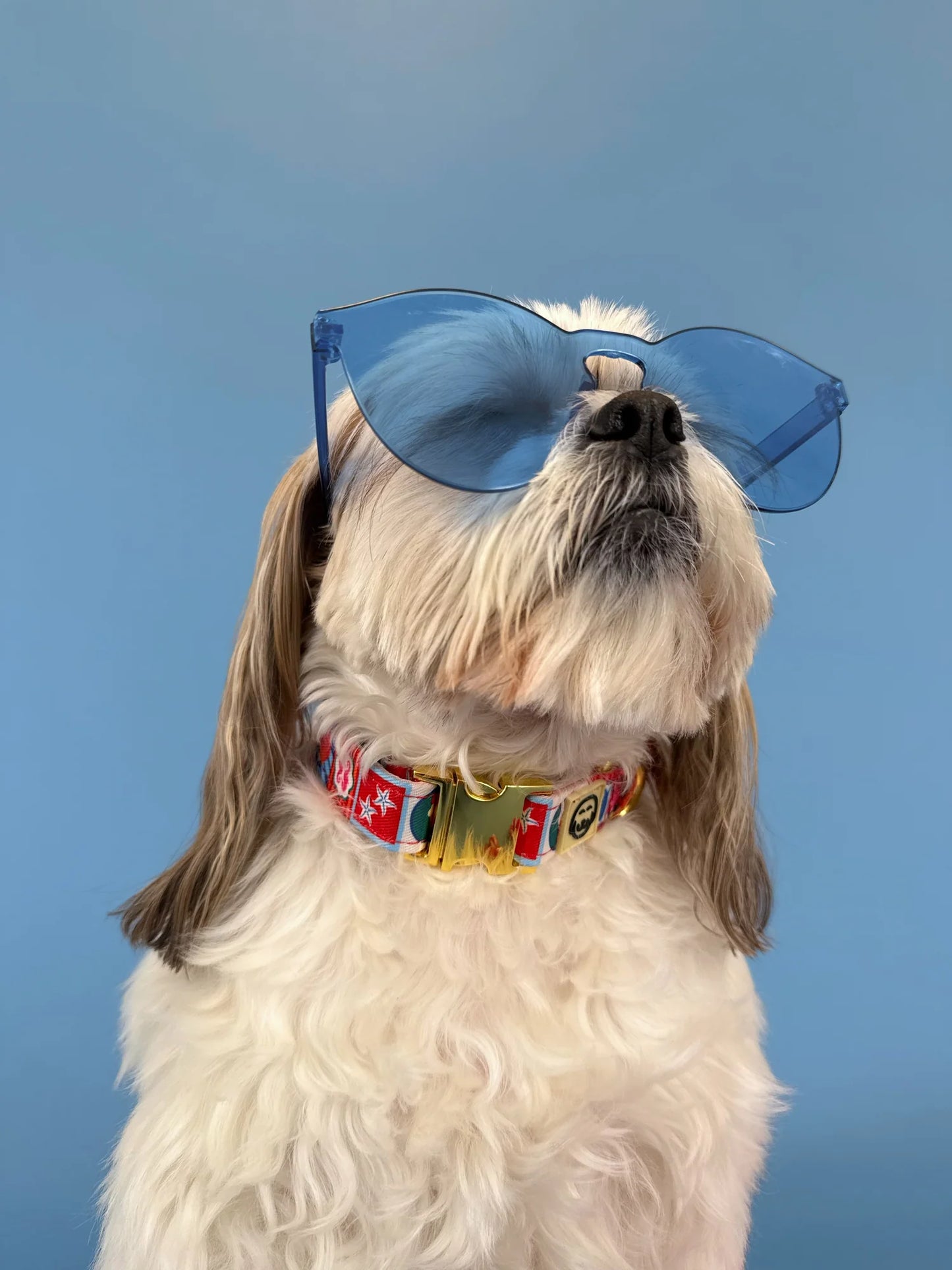 Molly & Co. Amalfi - Adjustable Dog Collar