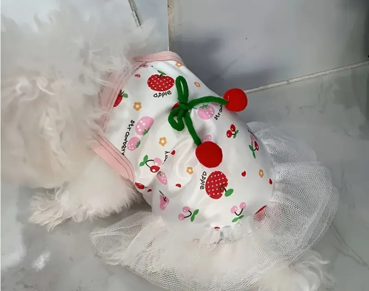 Fresh Dress for dogs