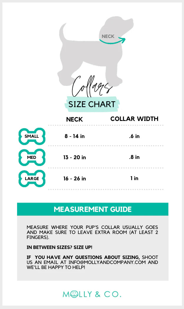 Molly & Co. Petunia - Dog Collar